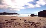 Beach Scenery (click for enlargement)