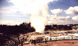 Rotorua (click for enlargement)