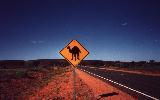 road sign (click for enlargement)