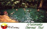 Mataranka Thermal Pool (click for enlargement)