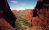 in the Olgas