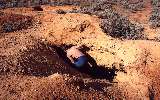 looking for wombats (click for enlargement)